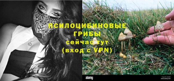 дурь Нягань