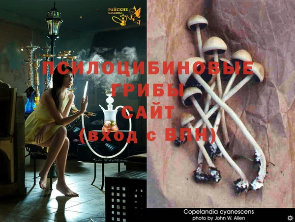дурь Нягань