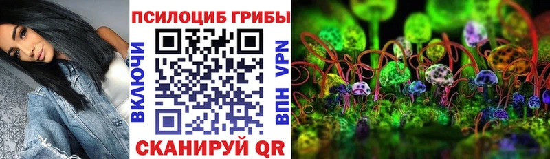 Псилоцибиновые грибы Cubensis  Нижняя Тура 